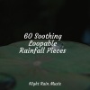 Echoes Of Nature、Tinnitus Aid、Meditation - Rain, Thunder, Evening