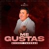 Mickey Taveras - Me Gustas