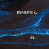 仄言 - 揉碎夜的光