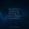 Academia de Música para Massagem Relaxamento、Musique Zen Garden、Mindfulness Mediation World - Deep Forest Calm