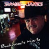 Daniel James - At the bar in Dixie