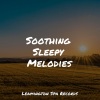 Lluvia PQ、Sleep Songs with Nature Sounds、Meditation Relaxation Club、Rain Sounds、Nature Sounds - Lazy Morning