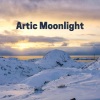 Calm Music for Studying - Kitty Ambient