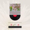 Kendrick、Bedroom Suck Record、Eldon Ryan - What You've Begun