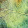 We Dream Of Eden、James Joseph - It Takes Time