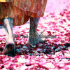 Zen Meditation and Natural White Noise and New Age Deep Massage - Magical Mind