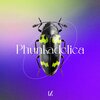 Phunkadelica - By The Power Of Grayskull