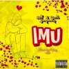 Stonebwoy - IMU (Explicit)