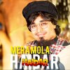 Yasir Soharwardi - Mera Mola Haidar