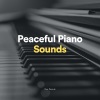 Yoga Featured Music、Anti Stress、Epic Soundscapes - Calm Piano