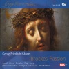 Collegium Cartusianum、Peter Neumann - Sinfonia