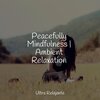 Oasis de Détente et Relaxation、Deep Sleep Music Academy、Mindfulness Mediation World - When I Fall Asleep