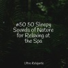 Yoga Workout Music、Happy Baby Lullaby Collection、Música Zen Relaxante - Tranquil Pathway