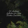 Kings of Nature、Study Music、Mindfulness Mediation World - Lullaby Dance