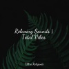 Deep Relaxation Meditation Academy、Pro Sound Effects Library、Echoes Of Nature - Winding Stream