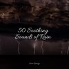 Rain Sound Plus、Nature Sounds for Concentration、Sons da Natureza - Bonfire in the Forest