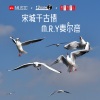M.R.Y麦尔彦 - 宋城千古情 (DJ版)