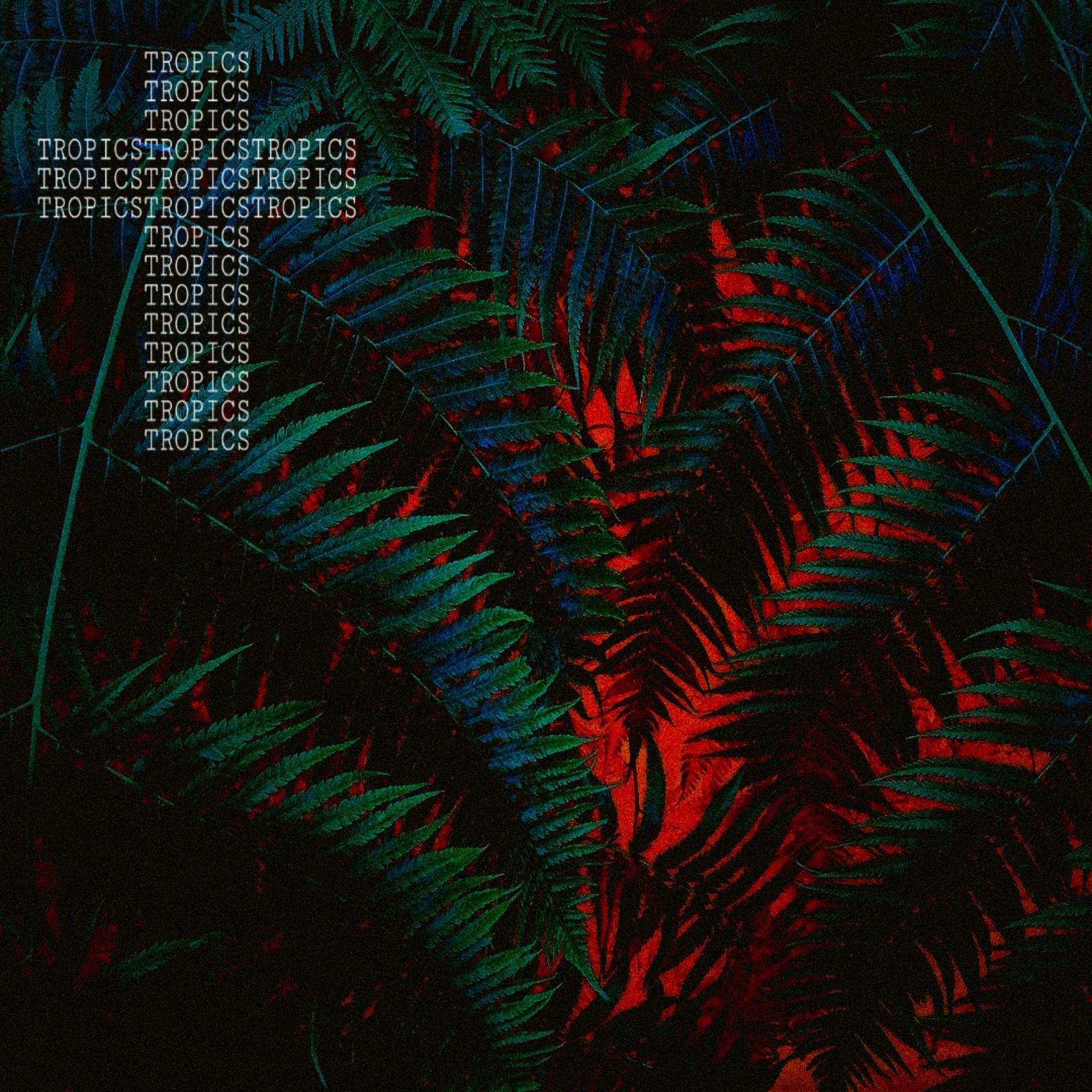Sensation of attitude、Mollono.Bass、Sascha Braemer - Fruit-Punch (Explicit)