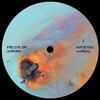 Mateyou - Fields Of Aurora