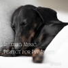 Music for Leaving Dogs Home Alone、Soothing Music for Sleep、Relaxing Dog Music Playlists - Peaceful Sleep