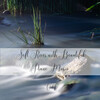 Study Music and Piano Music、Soothing Music、Piano Jazz Luxury - Soft River with Beautiful Piano Music Vol. 1 - 2 Hours