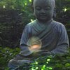 Krishna's Flute - The Healing Garden