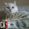 treatyy - CA$h (Explicit)