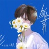 迟里乌布 - 雏菊