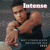 Running Music Ensemble - Sunset Run