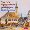David Glazer、Wurttemburg Chamber Orchestra、Jörg Faerber - Clarinet Concerto No. 1 in F Minor, Op. 73