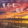 玖弦 - 等不来花开