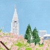미도리 - 新宿 S01