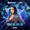AniMe、Mc Livid - What We Live For