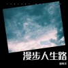 唐晖洋 - 漫步人生路