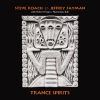 Steve Roach、Jeffrey Fayman、Robert Fripp - Taking Flight