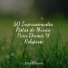 Meditação Yoga Maestro、Yoga Para Niños、Meditação Zen - Descanso Celestial