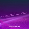 Michael Goldstein《Waltz of the Sugar Plums》[MP3/LRC]