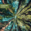 DJ Andy de Gage' - Lost Forest