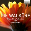 Royal Philharmonic Orchestra、Philip Ellis《Die Walküre, WWV 86B》[MP3/LRC]