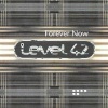 level 42 - Forever Now