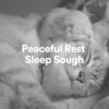 White Noise Atmospheres、Bruit Blanc Sommeil、The Sounds Research Forum Loopable Radiance - Peaceful Rest Sleep Sough, Pt. 1