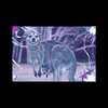 SASHI!、Moog - Famous in Australia (feat. Moog)(Explicit)