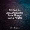 Musica Meditaction、Canciones Infantiles Para Niños、Sons da Natureza Relax - Campos De Maravilla