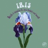 Desh、c e c e l i e、jazz_rabbit、Louk - Iris