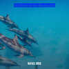 Rafael Orue - Fun Time at the Beach 2022
