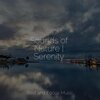 Zarobi、Binaural Beats、Mindfulness Mediation World - Soothing Candlelight