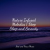 Massage、Study Zone、Massage Therapy Music - Mindful Massage