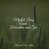 instrumental、Mindfulness Mediation World、Mindfulness Meditation Universe - Winding Down