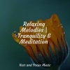 Mindfulness Mediation World、Spa Music Collective、Alpha Brain Waves - Space Ambient