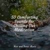 White Noise For Baby Sleep、Study Music & Sounds、Yoga Workout Music - As the Lamb Sleeps